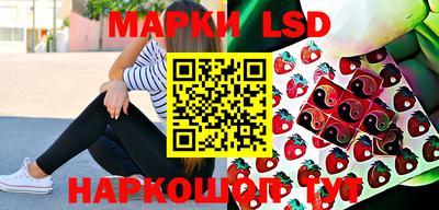 apvp Гусев