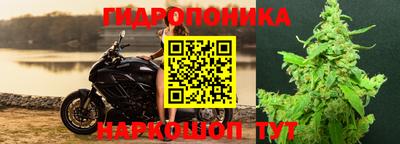 трава Гусь-Хрустальный