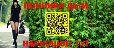 apvp Гусев