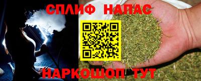 apvp Гусев