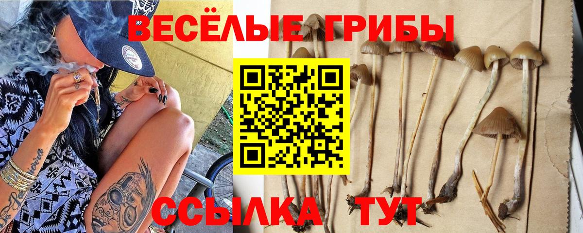 Меф Кунгур