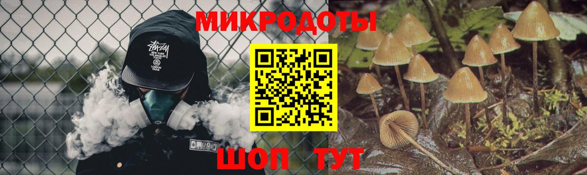 Псилоцибиновые грибы GOLDEN TEACHER Кунгур